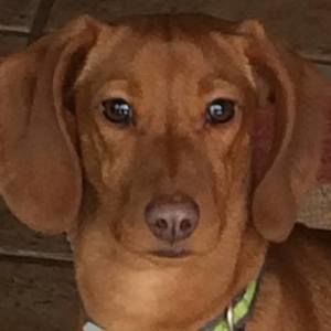 Meet your Posher, Kay